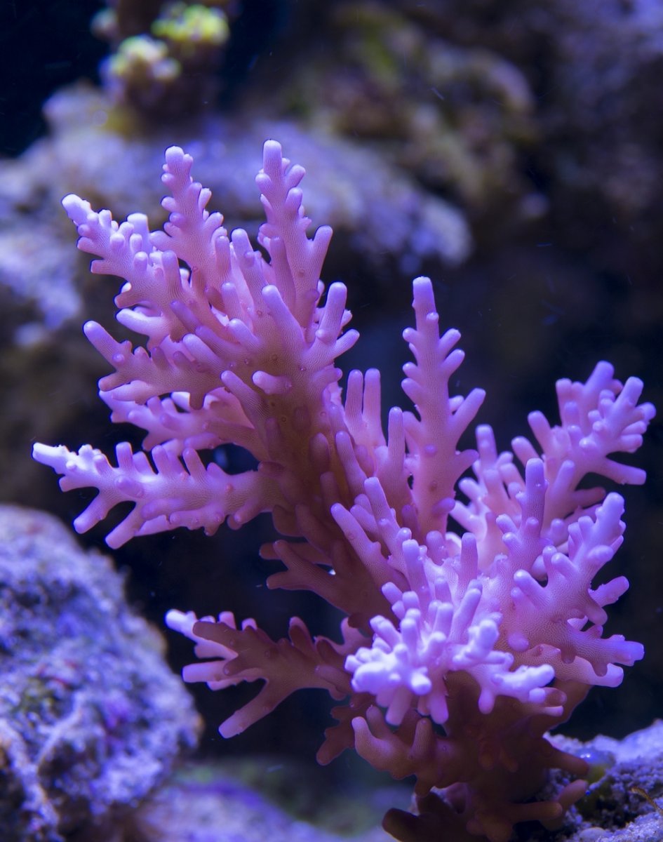 DSC_5751.jpg