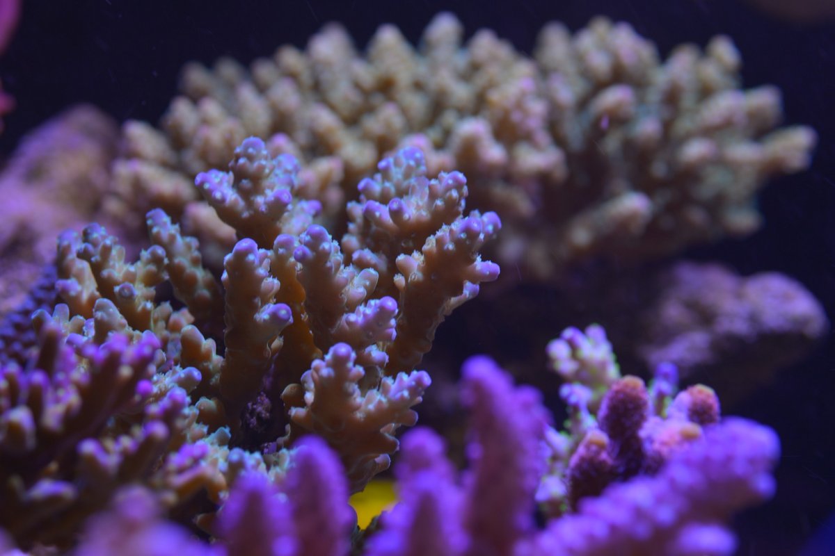 DSC_5787.jpg