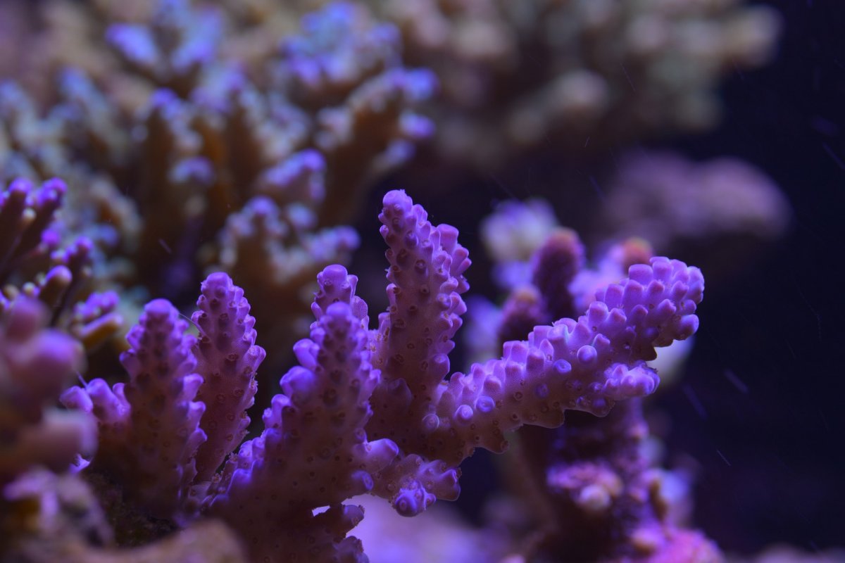 DSC_5789.jpg