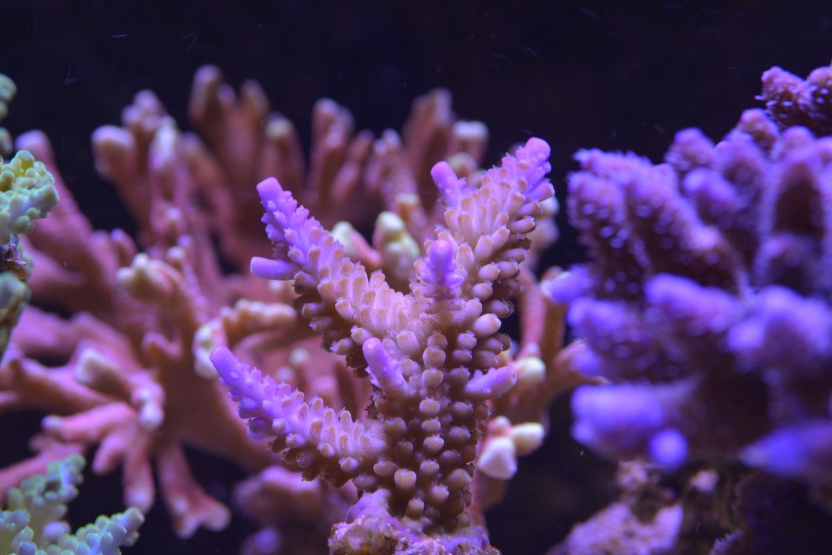 DSC_5792.jpg