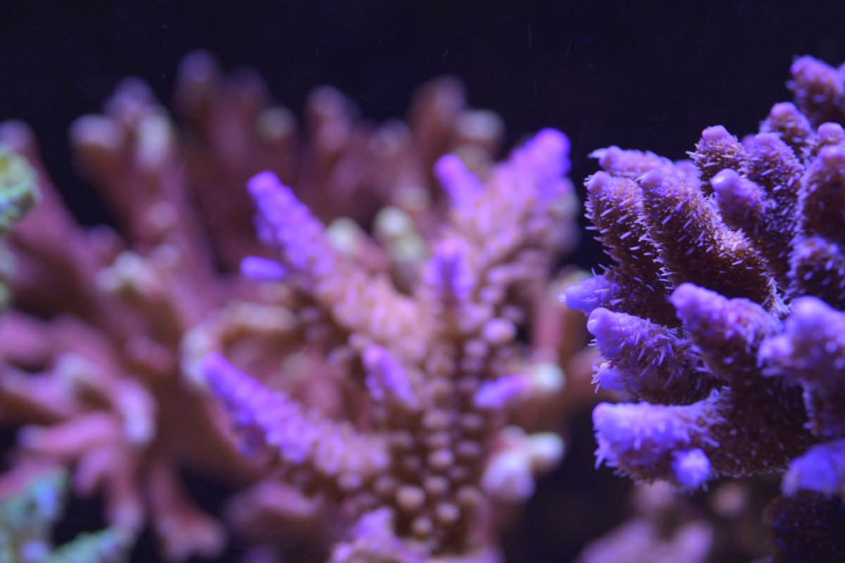 DSC_5793.jpg