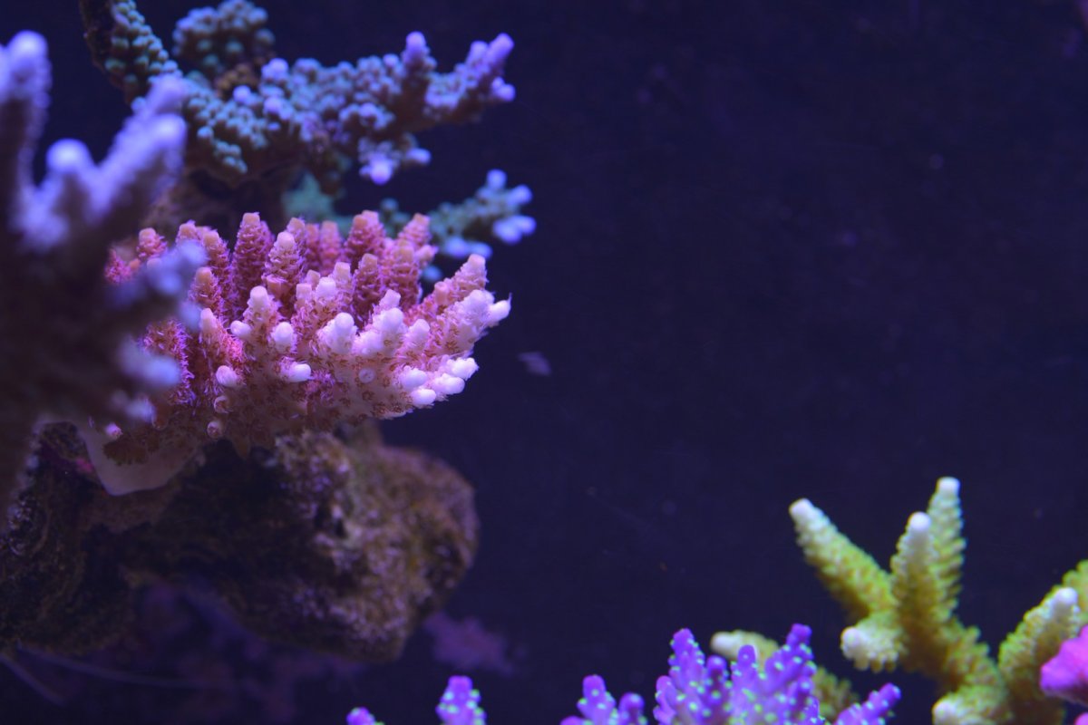 DSC_5796.jpg