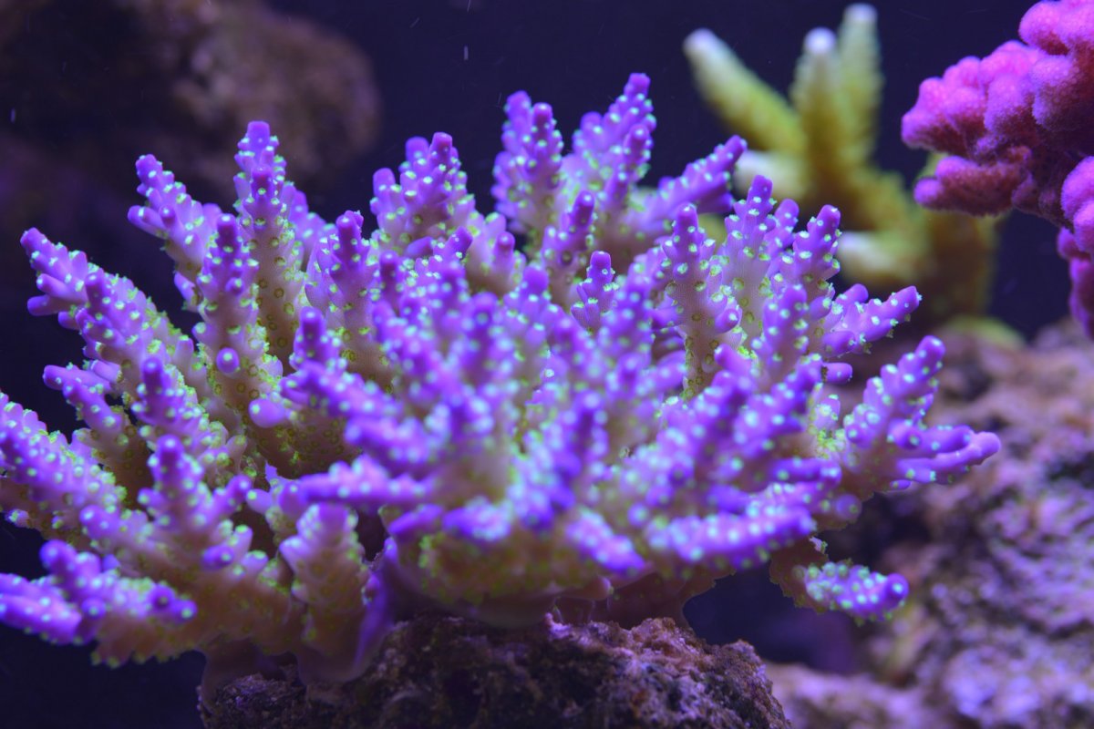 DSC_5798.jpg