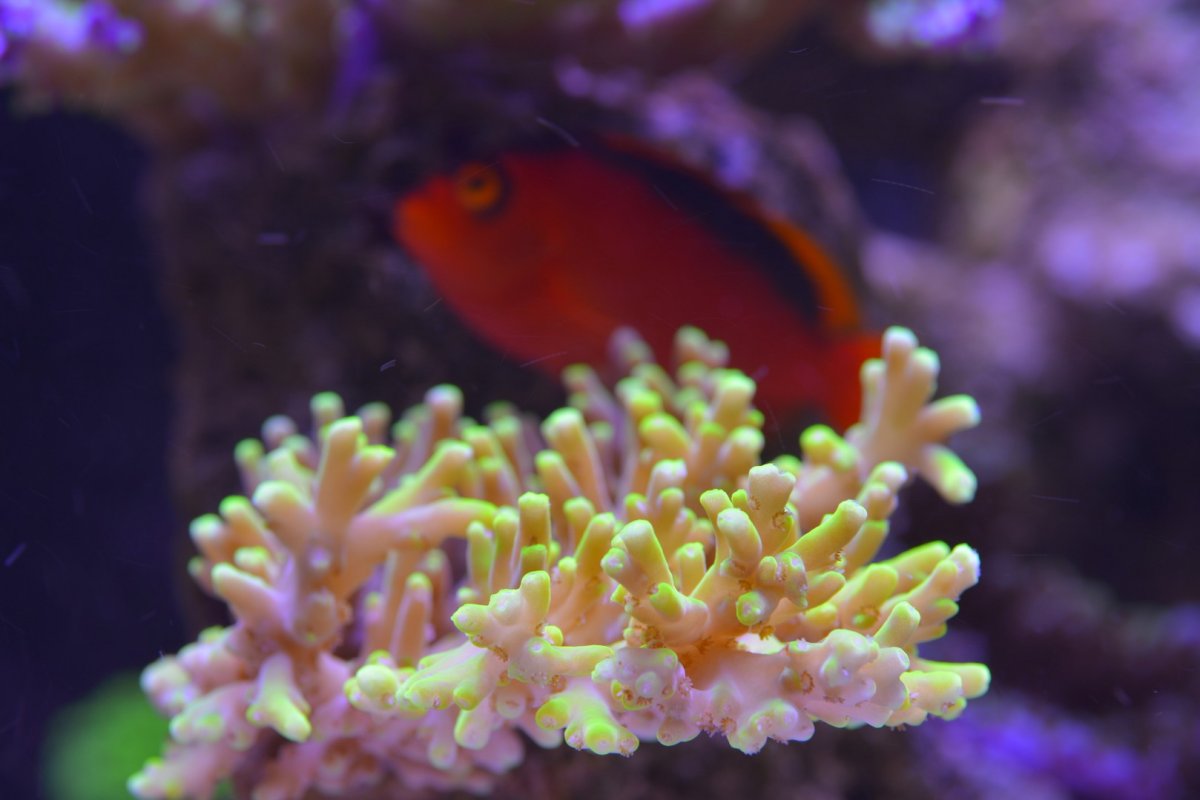 DSC_5799.jpg