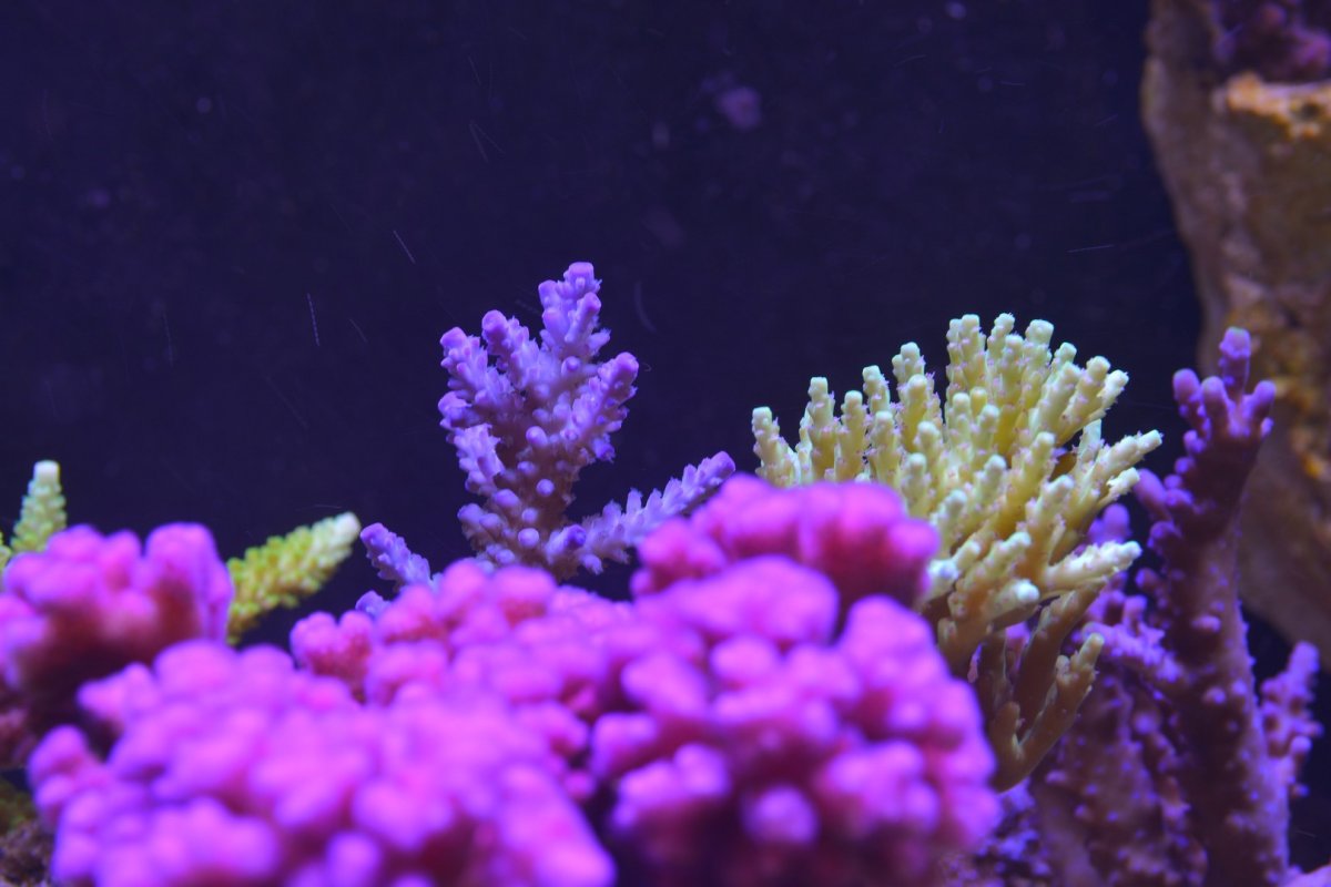 DSC_5800.jpg