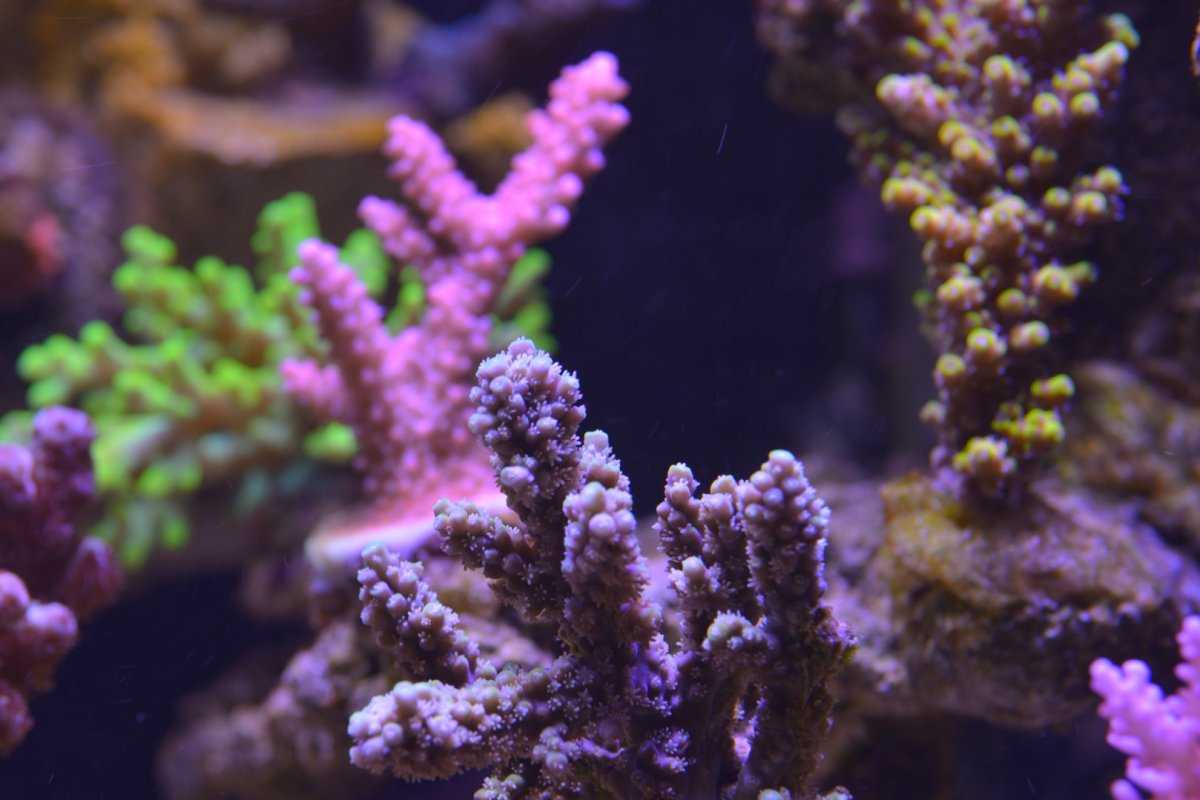 DSC_5805.jpg
