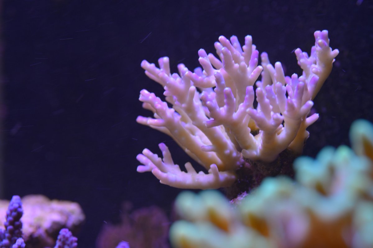 DSC_5808.jpg