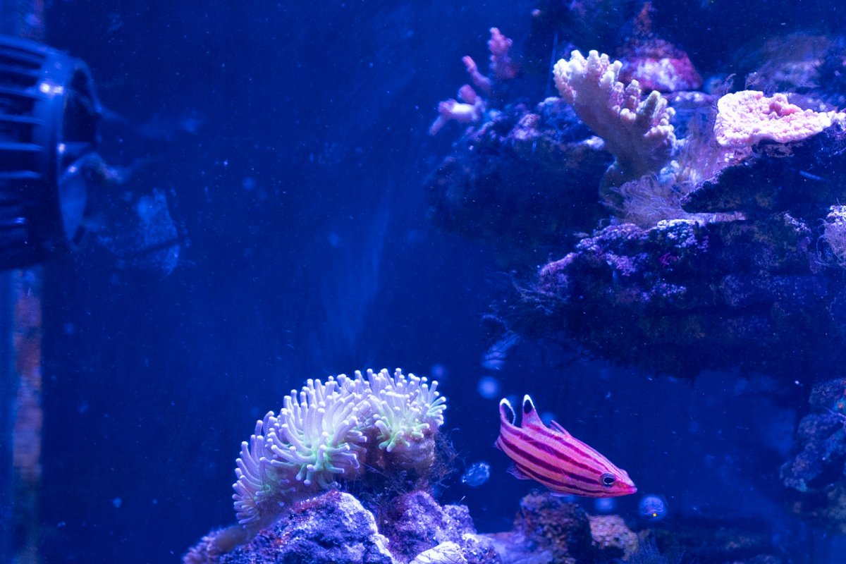 DSC_5851.jpg