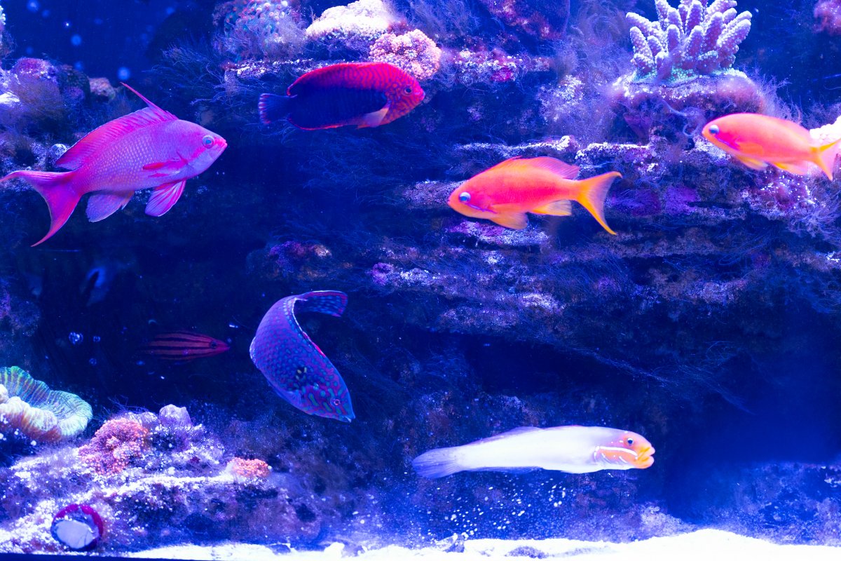DSC_5853.jpg