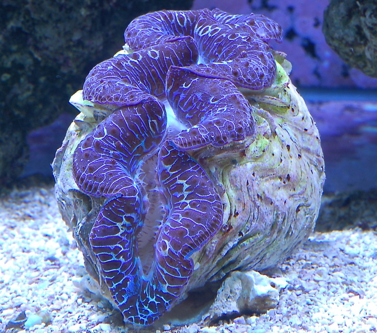 DSC_5876.JPG