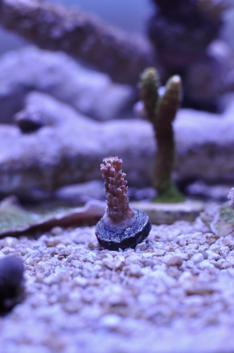 DSC_5878.jpg