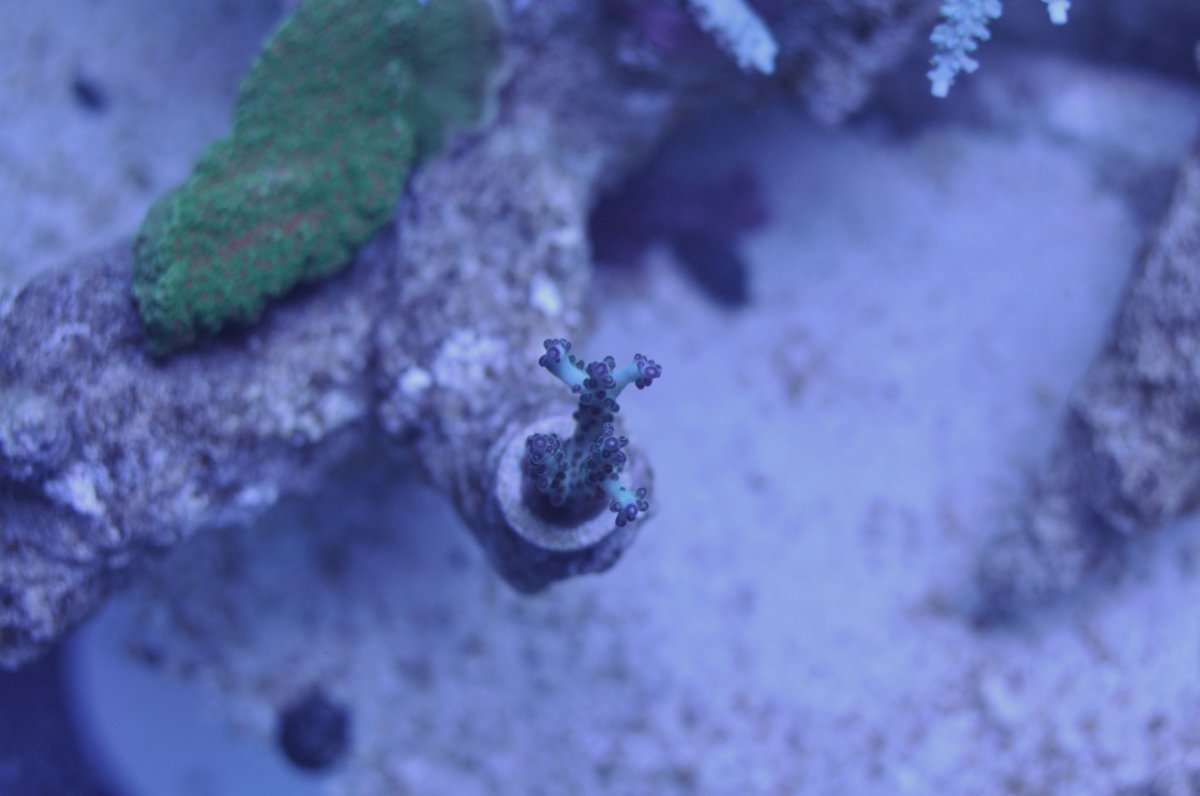 DSC_6009.jpg