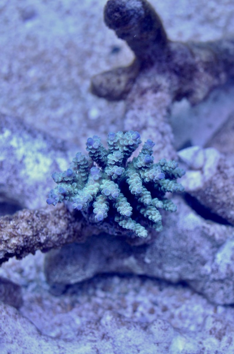 DSC_6020.jpg