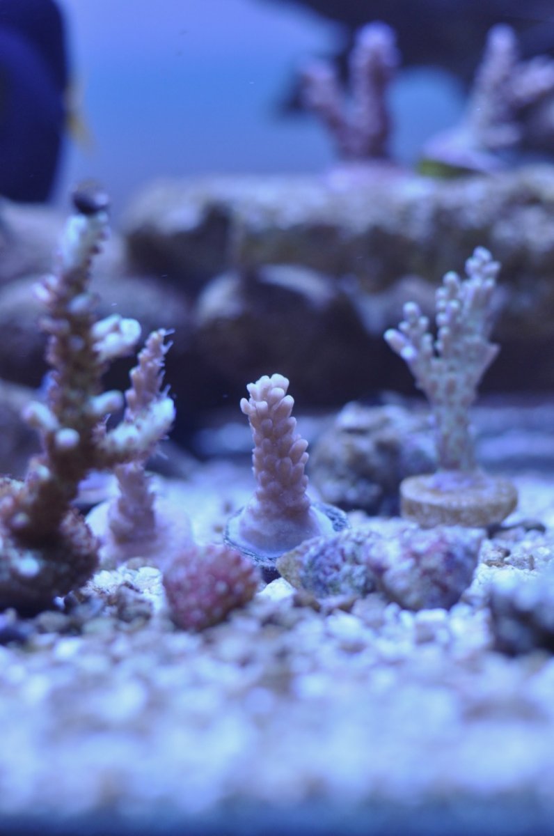 DSC_6065.jpg