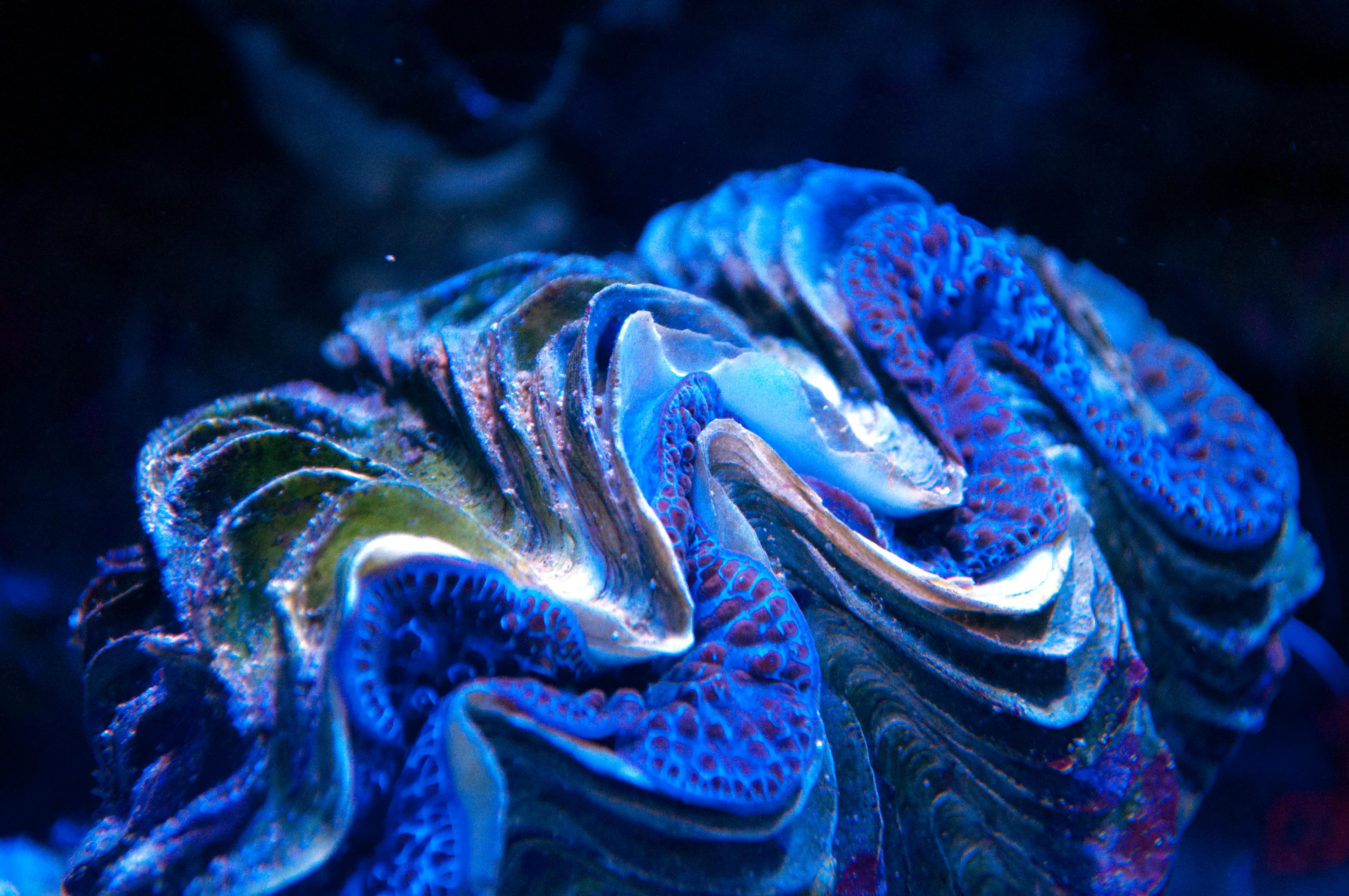 DSC_6187_edited-1.jpg