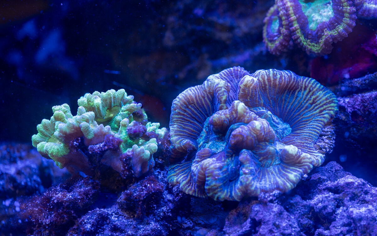 DSC_6212.jpg