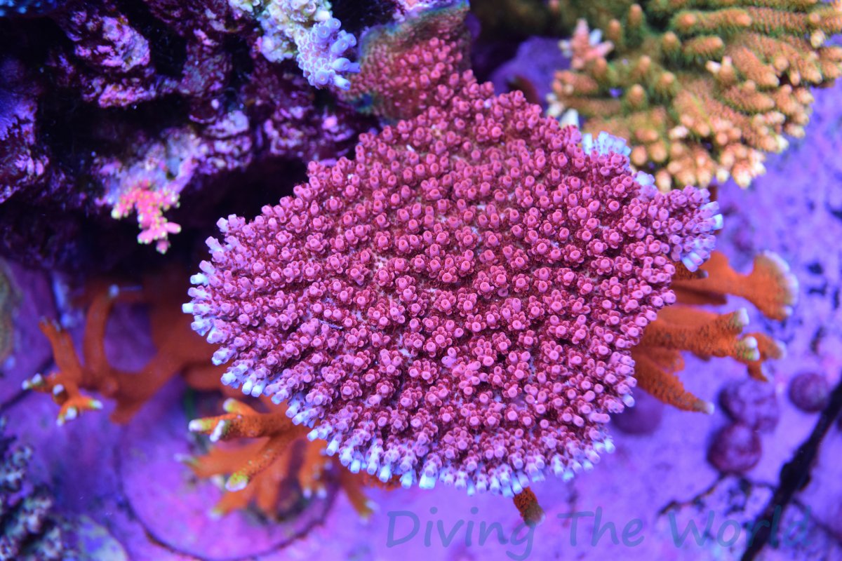 DSC_6257.JPG