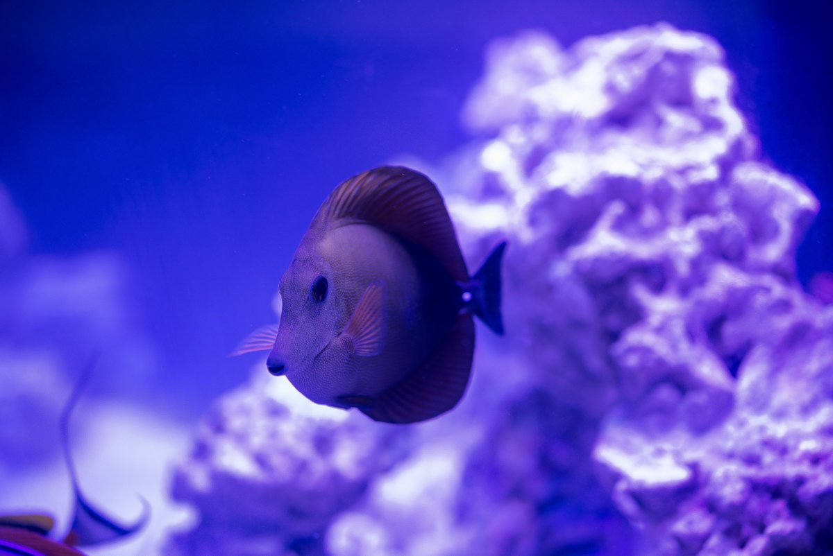 DSC_6303.jpg
