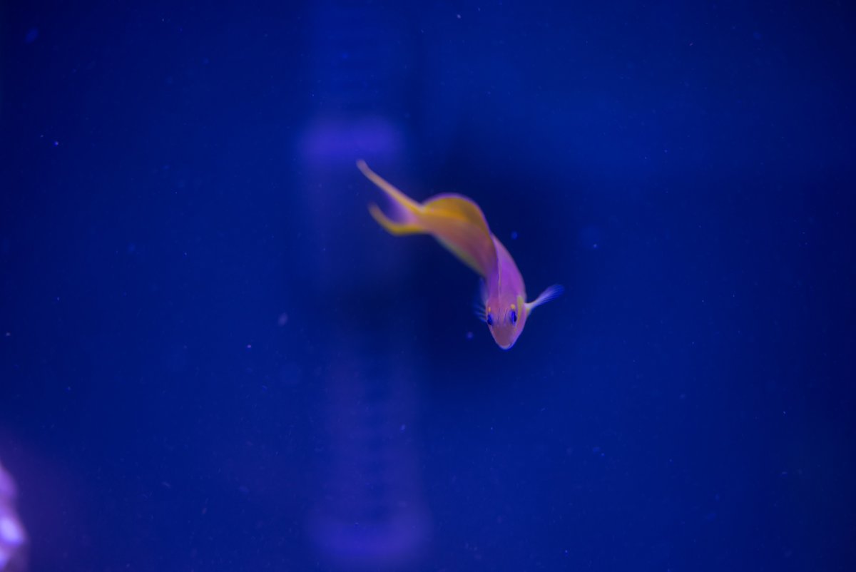 DSC_6371.jpg