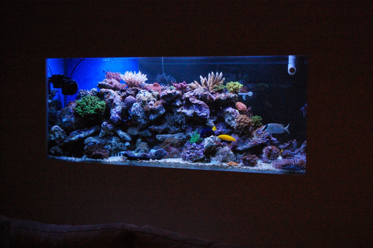 DSC_6476.JPG