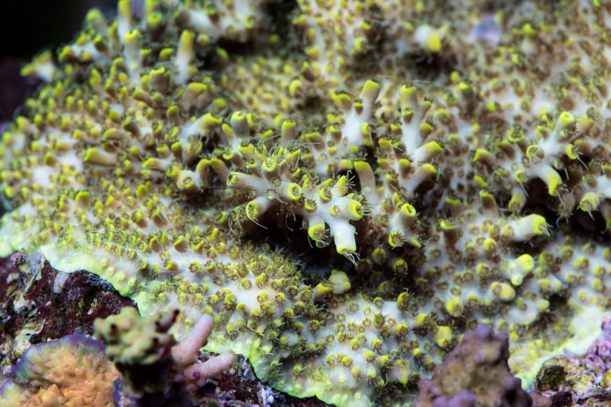 DSC_6547.jpg