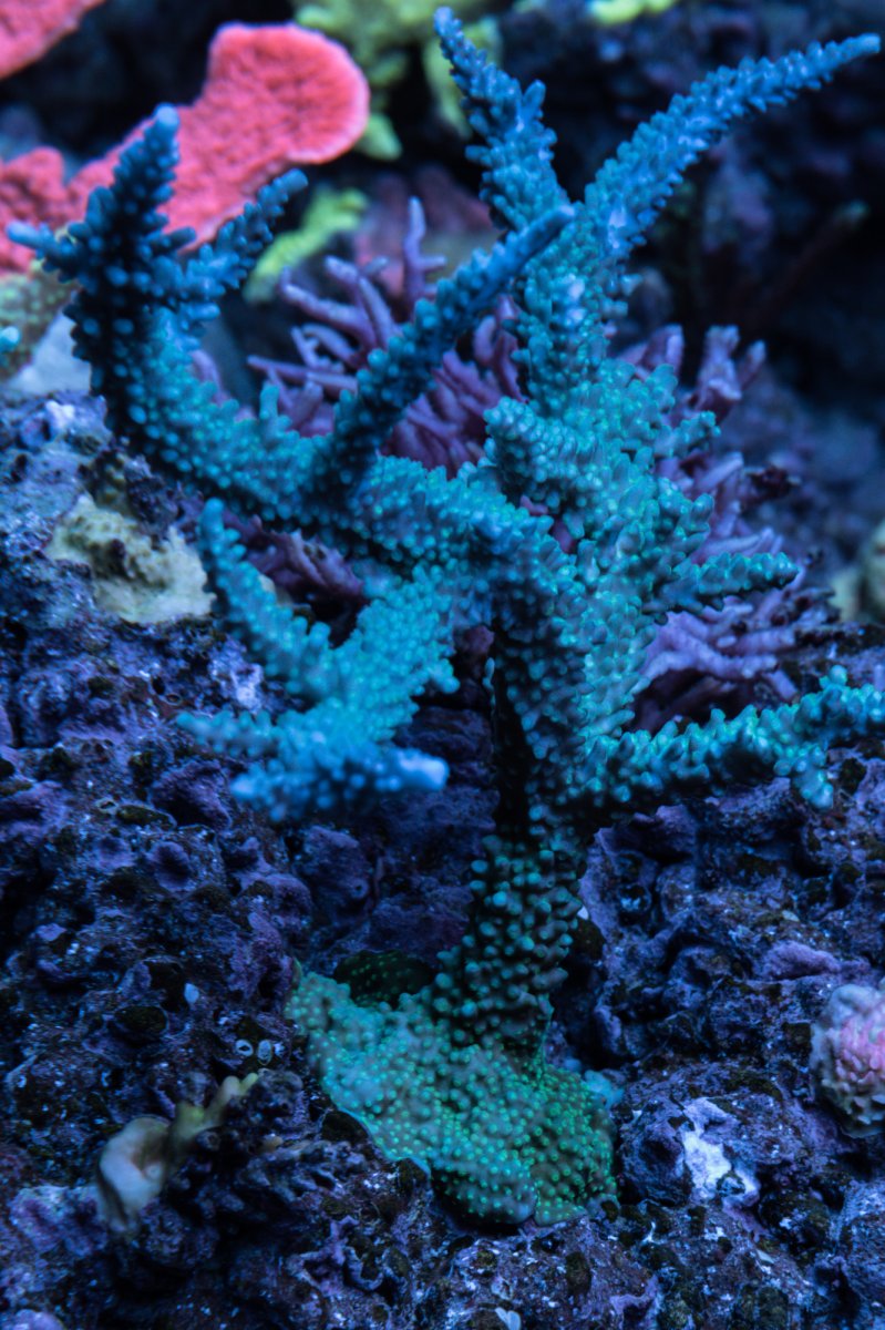 DSC_6577.jpg