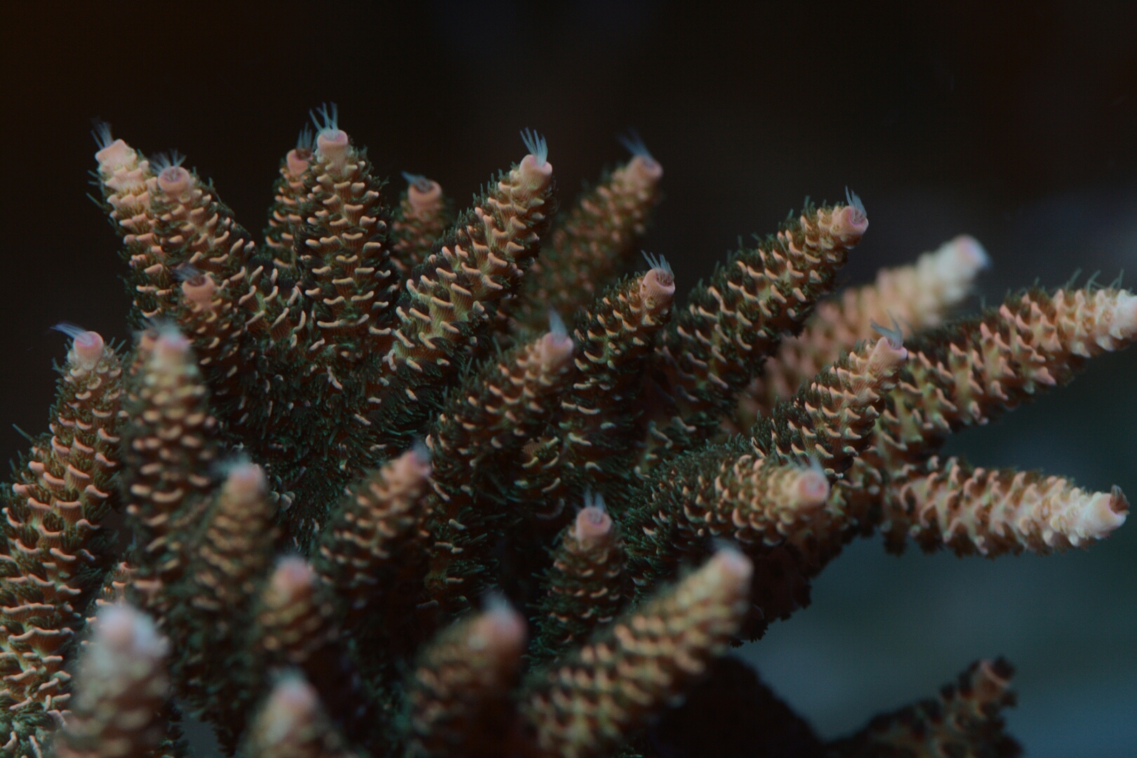 DSC_6649.JPG