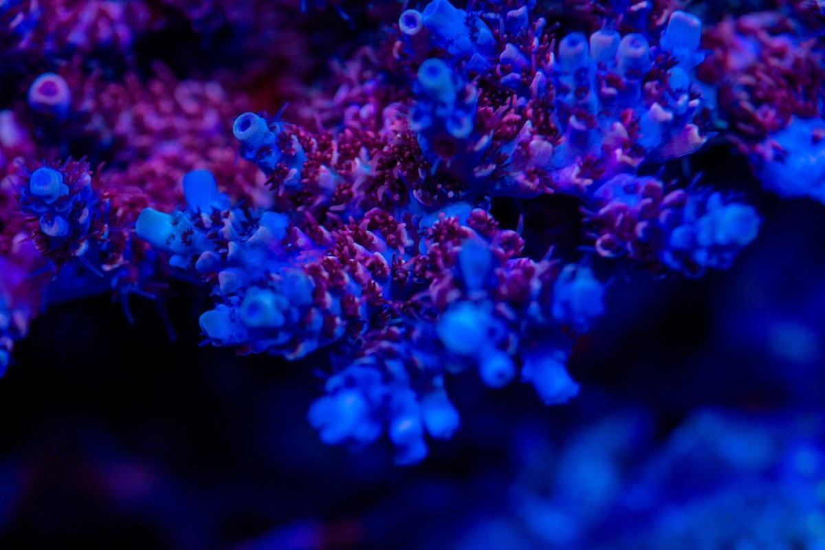 DSC_6674.jpg
