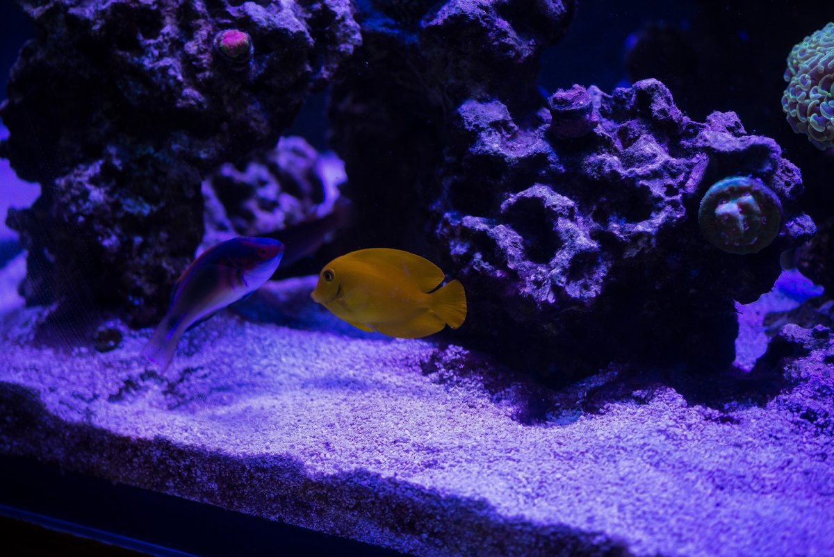 DSC_6776.jpg