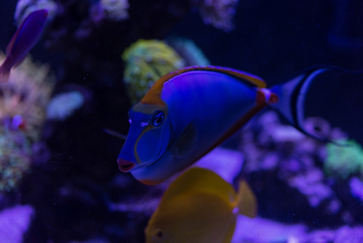 DSC_6796.jpg
