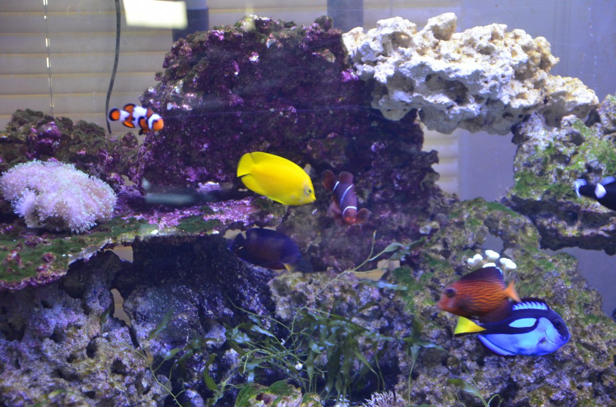 DSC_6799.JPG