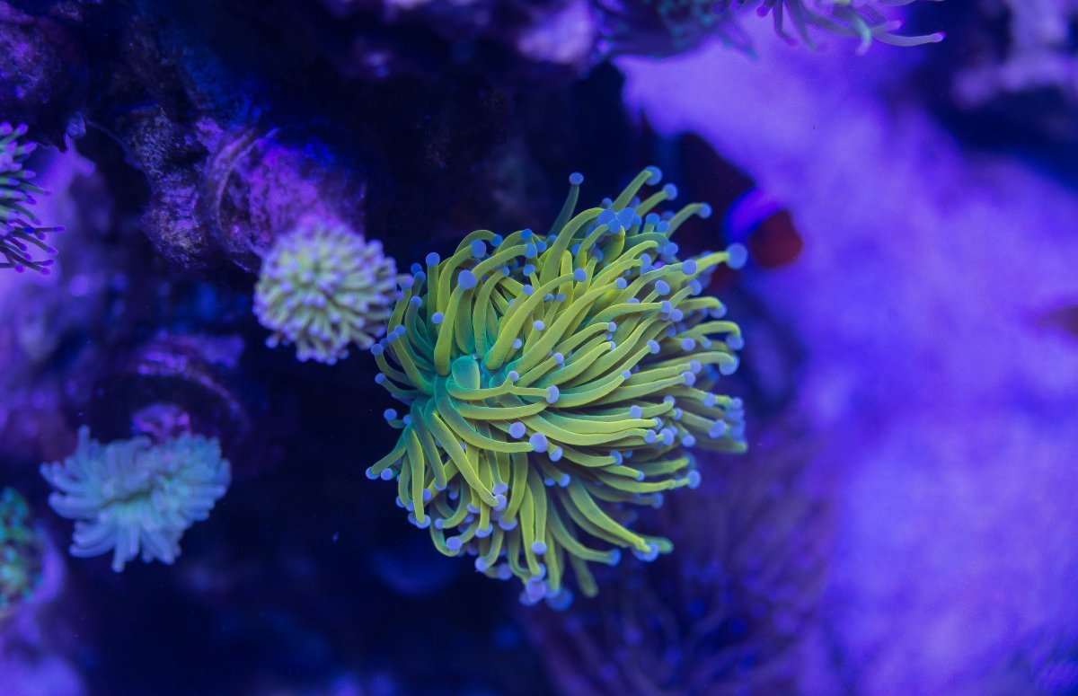 DSC_6803.jpg