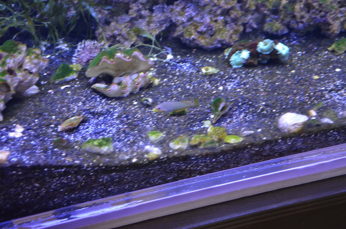 DSC_6811.JPG