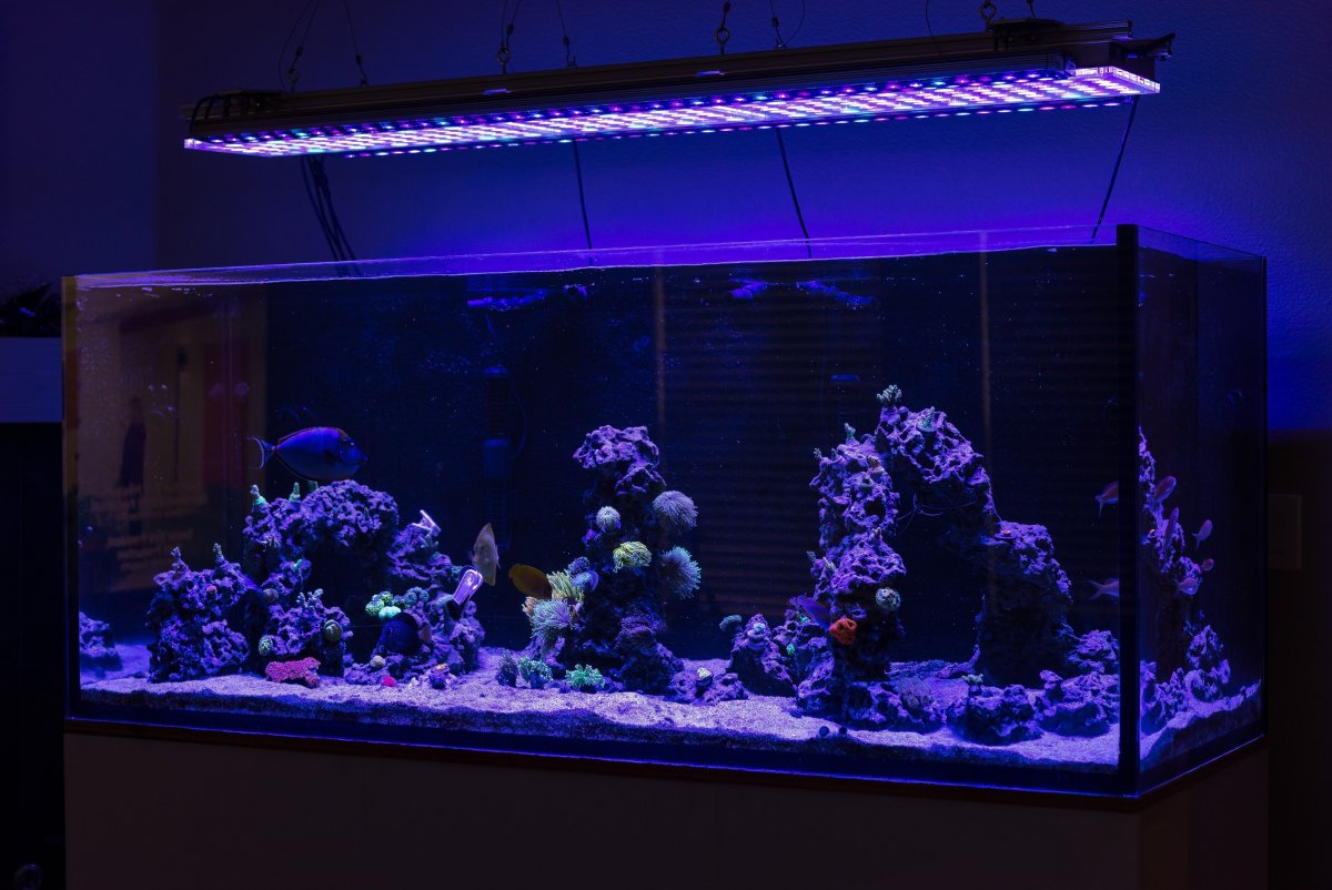 DSC_6813.jpg