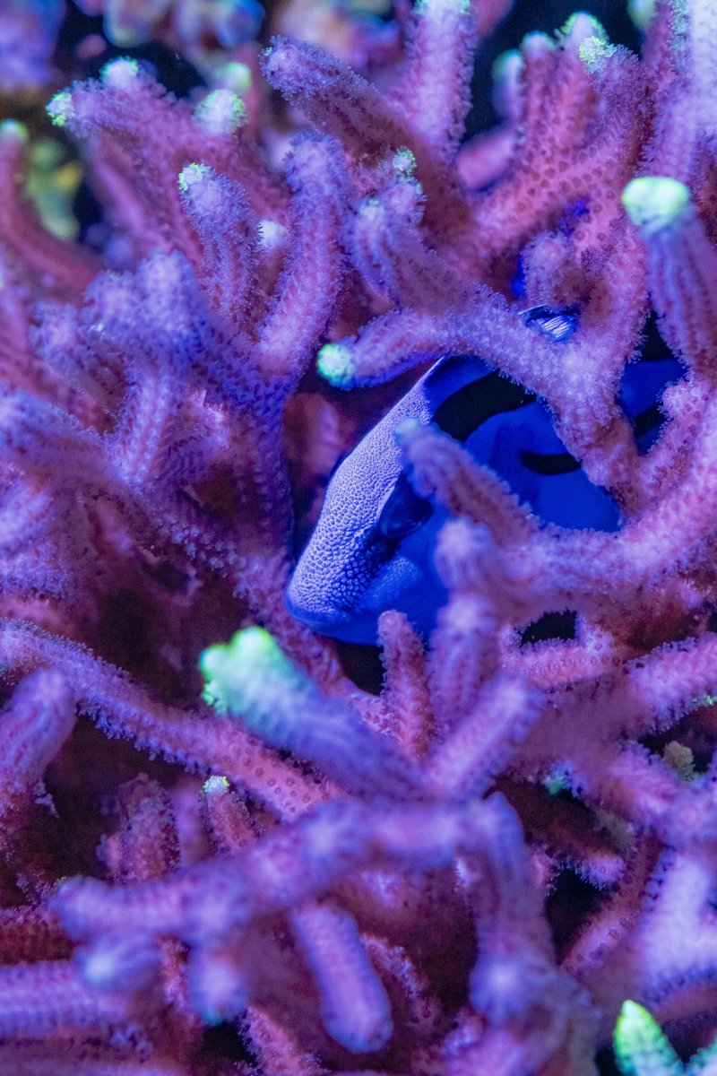 DSC_6815.jpg