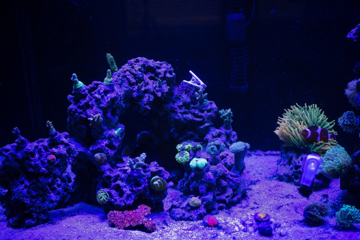 DSC_6839.jpg