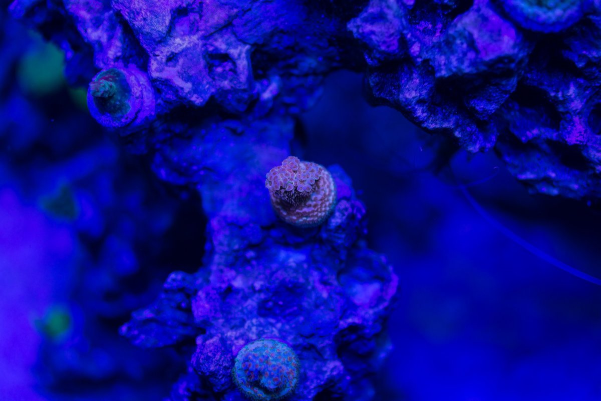 DSC_6847.jpg
