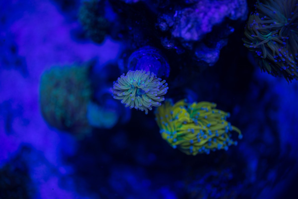 DSC_6862.jpg