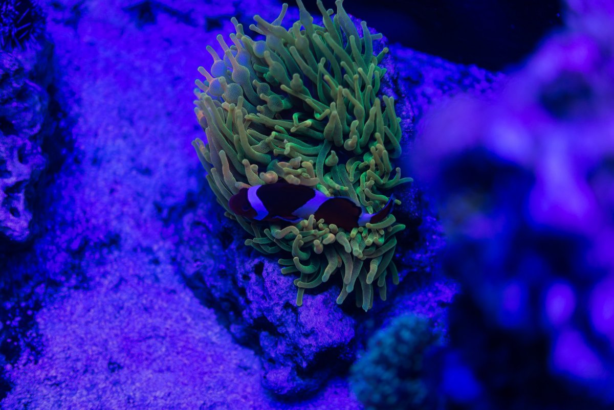 DSC_6866.jpg