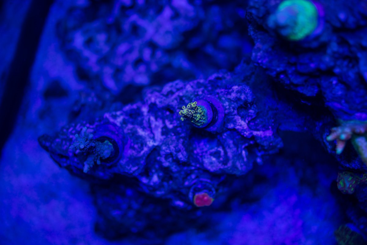 DSC_6873.jpg