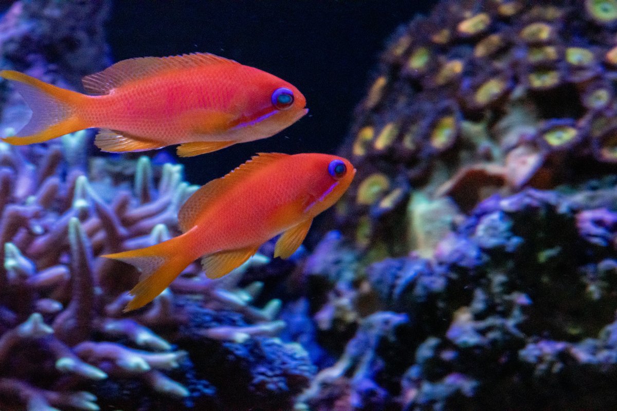 DSC_6956.jpg