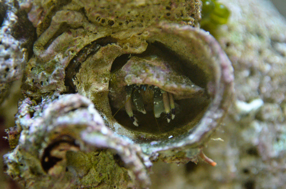 DSC_6973.jpg