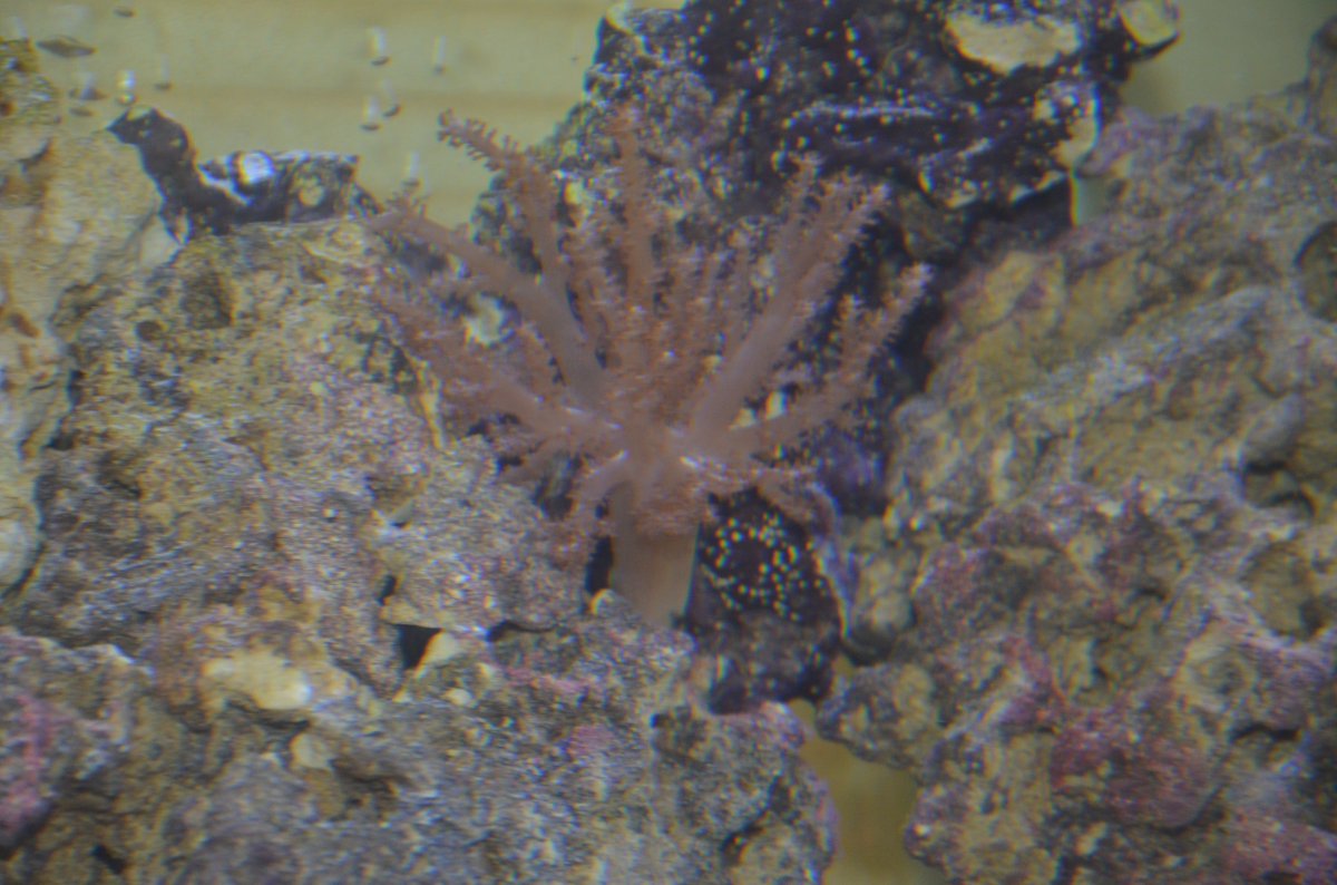 DSC_7072.JPG