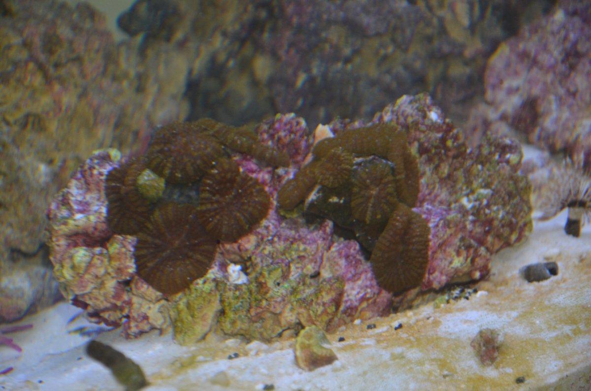 DSC_7073.JPG