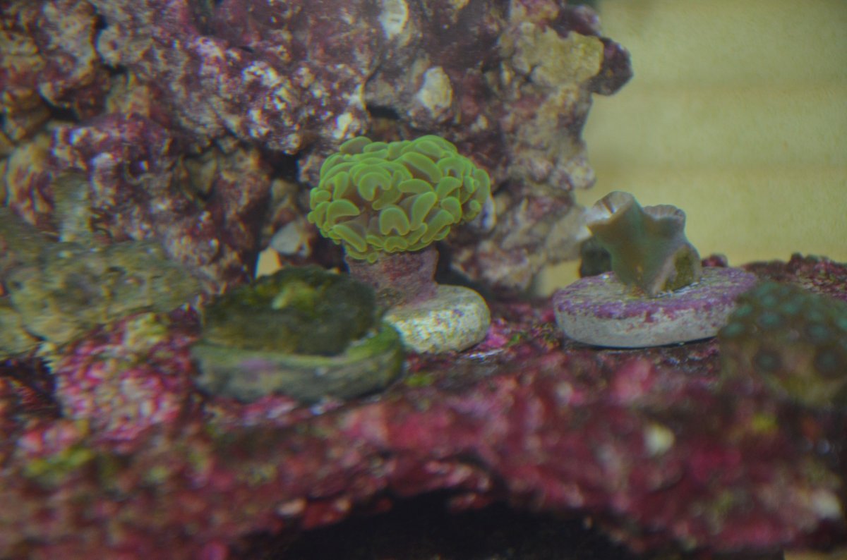 DSC_7078.JPG