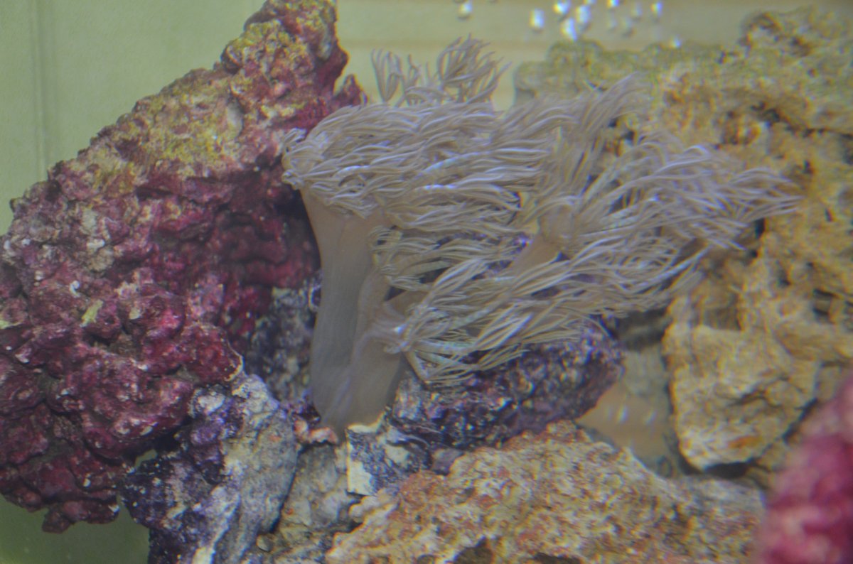 DSC_7080.JPG