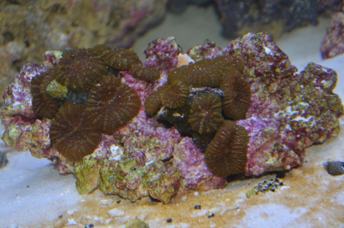 DSC_7083.JPG