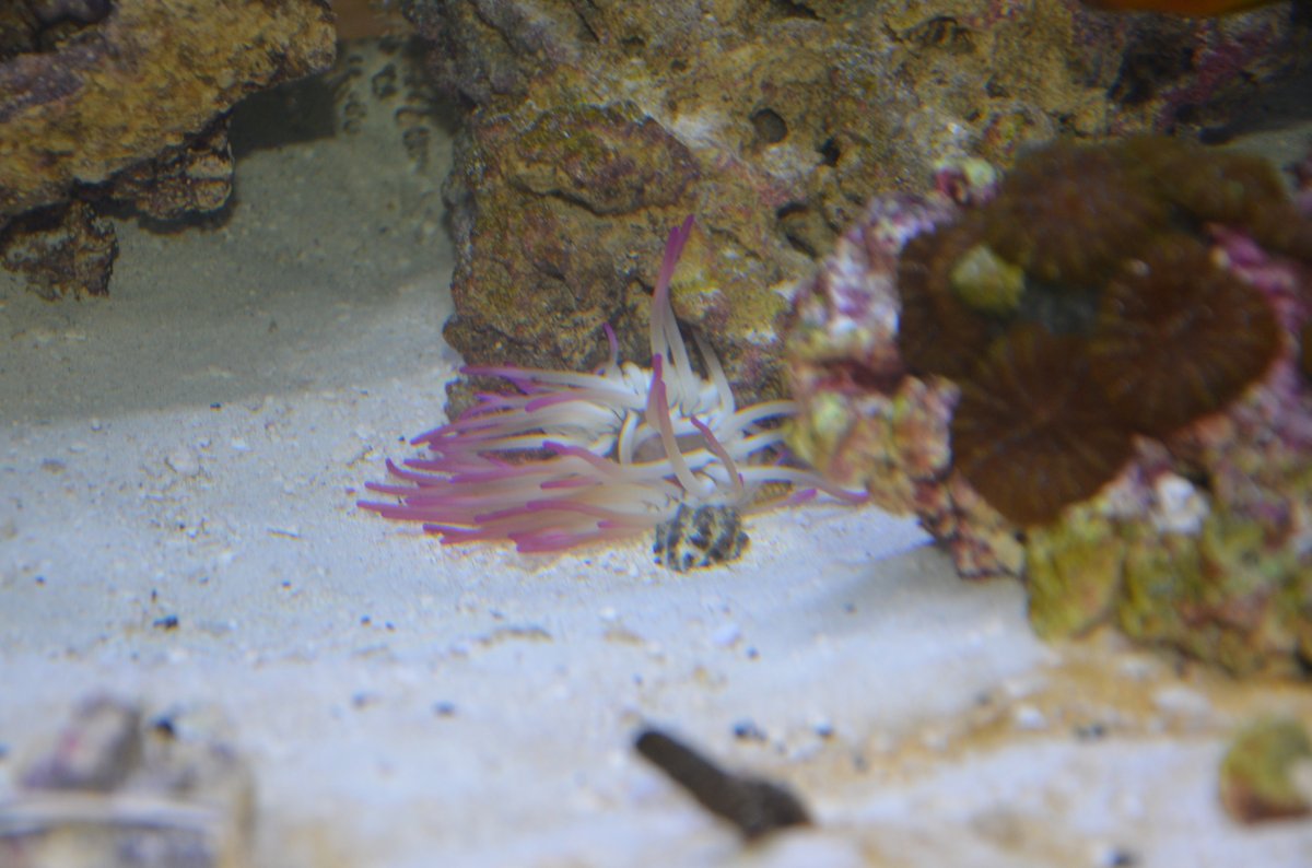 DSC_7086.JPG