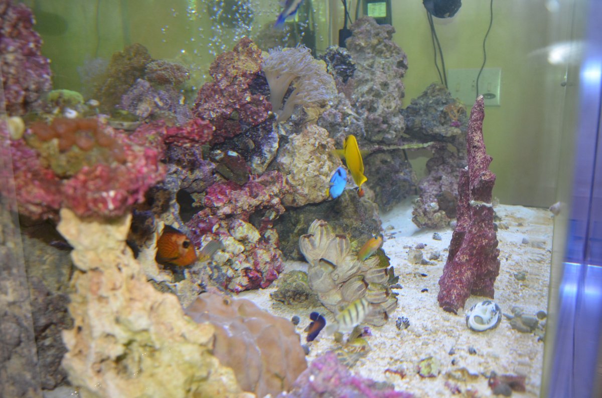 DSC_7087.JPG
