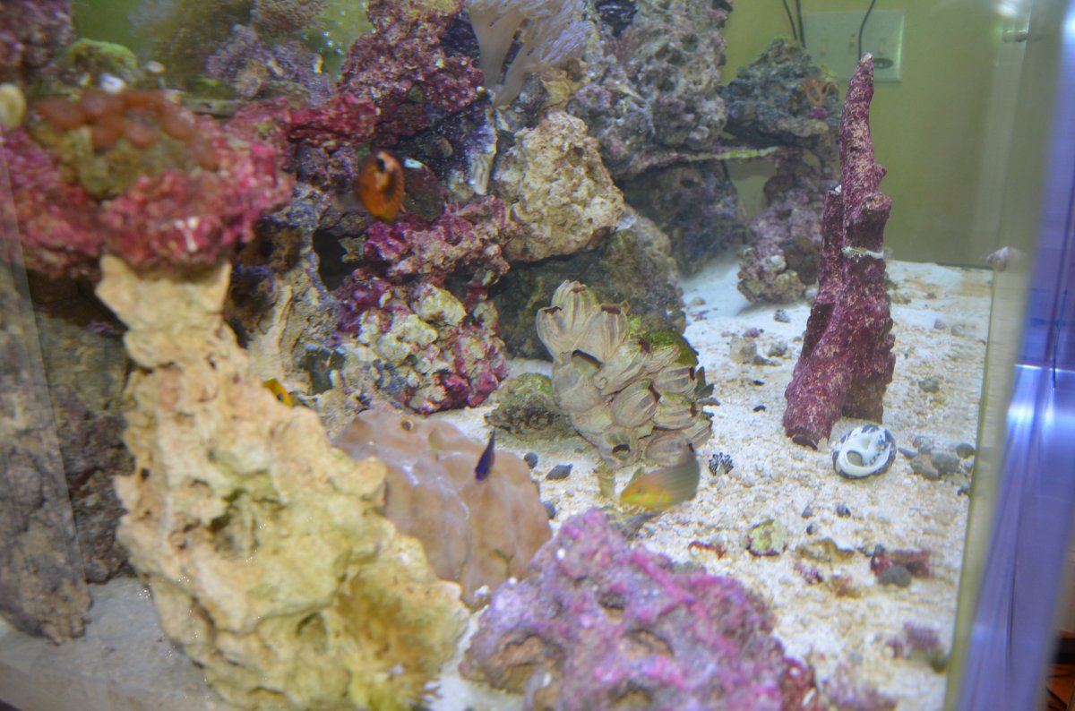 DSC_7088.JPG